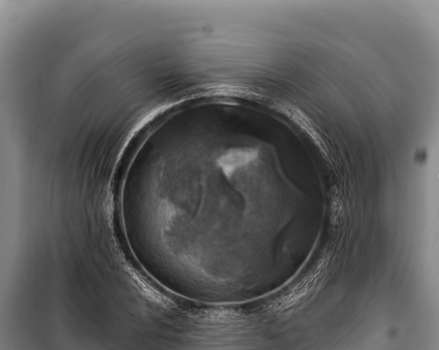 X0000100861024200806271155