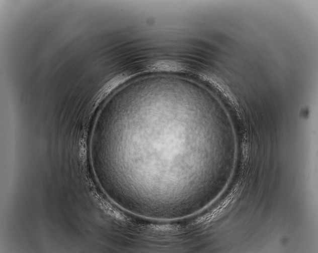 X0000100861025200806271155