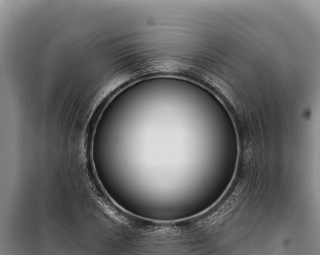 X0000100861026200806271155