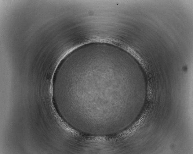 X0000100861028200806271155