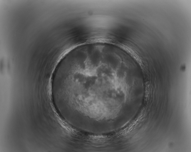 X0000100861031200806271155