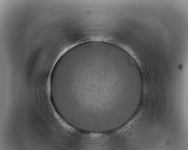 X0000100861032200806271155