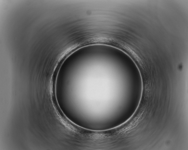 X0000100861034200806271155