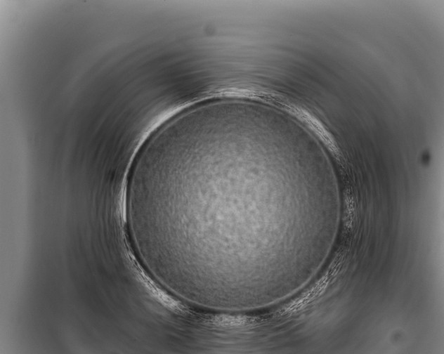 X0000100861036200806271155