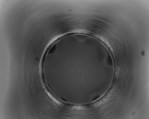 X0000100861037200806271155