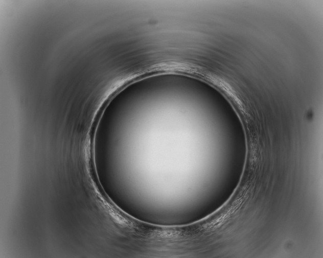 X0000100861040200806271155