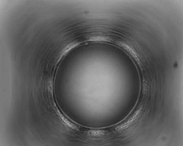 X0000100861041200806271155