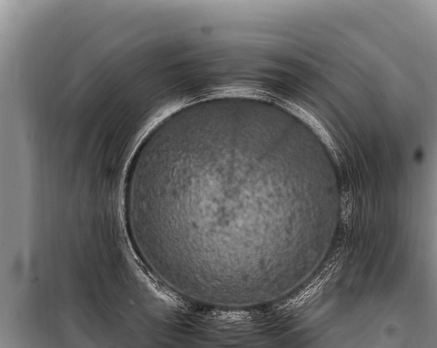 X0000100861043200806271155