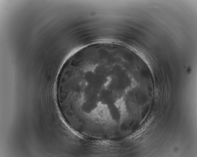 X0000100861045200806271155