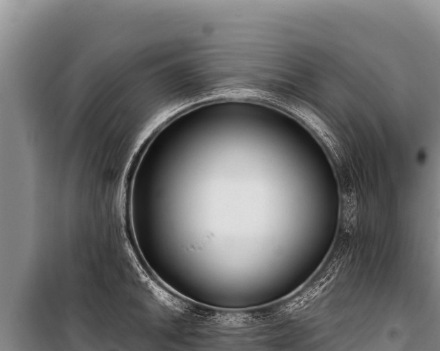 X0000100861046200806271155