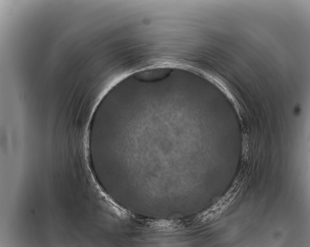 X0000100861048200806271155