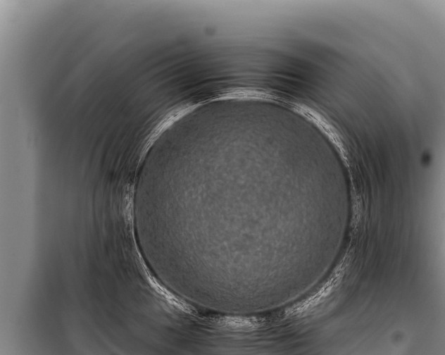 X0000100861049200806271155