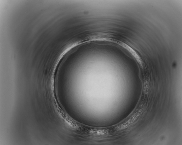 X0000100861051200806271155