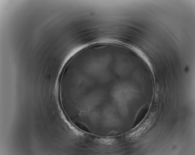 X0000100861053200806271155