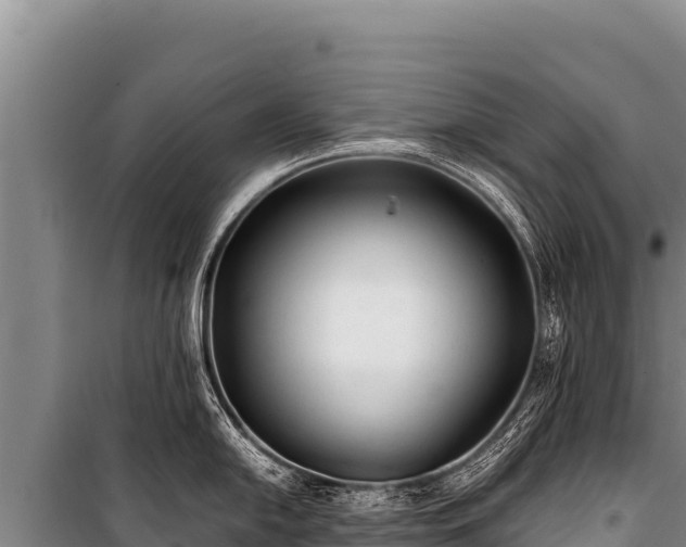 X0000100861054200806271155