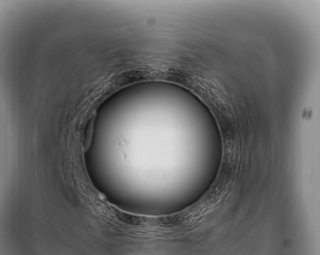 X0000100861057200806271155