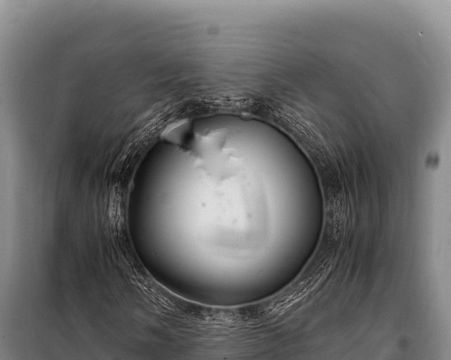 X0000100861058200806271155