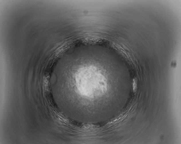 X0000100861059200806271155