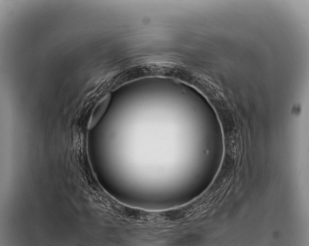 X0000100861061200806271155