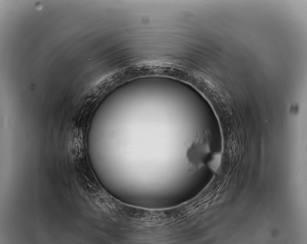 X0000100861062200806271155