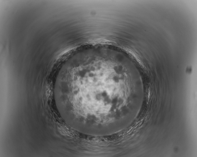 X0000100861063200806271155