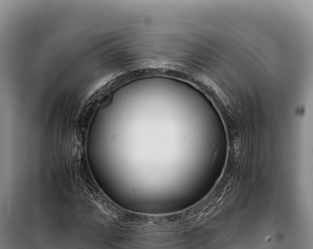 X0000100861064200806271155