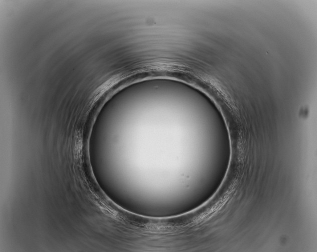 X0000100861065200806271155