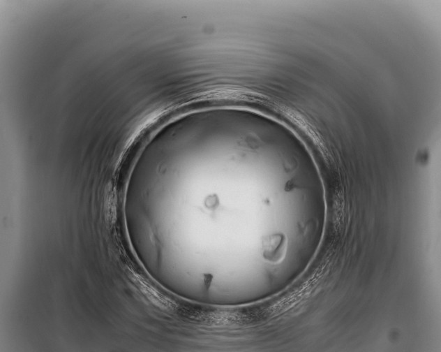 X0000100861067200806271155