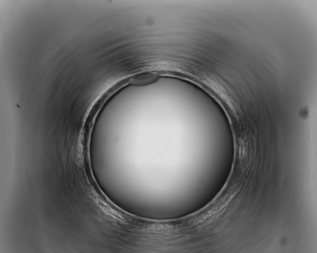 X0000100861068200806271155