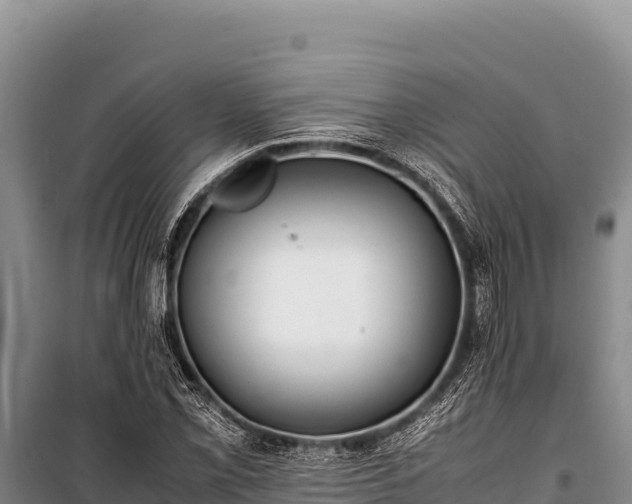 X0000100861069200806271155