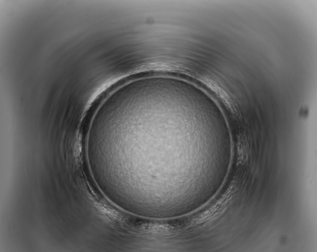 X0000100861070200806271155