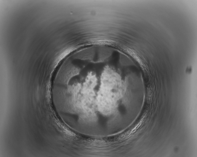 X0000100861071200806271155