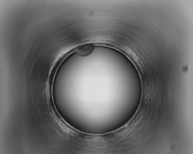 X0000100861072200806271155