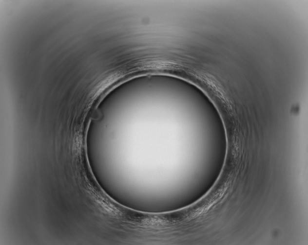 X0000100861073200806271155