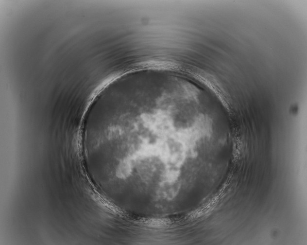 X0000100861074200806271155