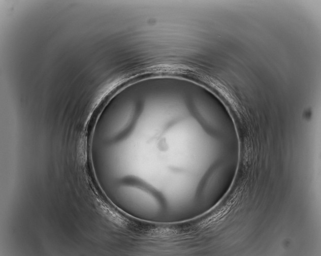 X0000100861075200806271155