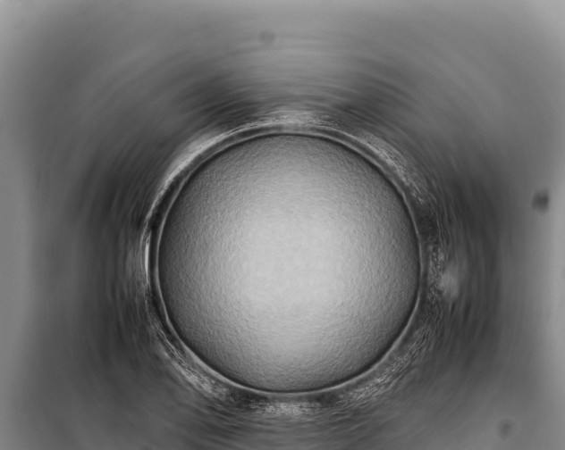 X0000100861078200806271155