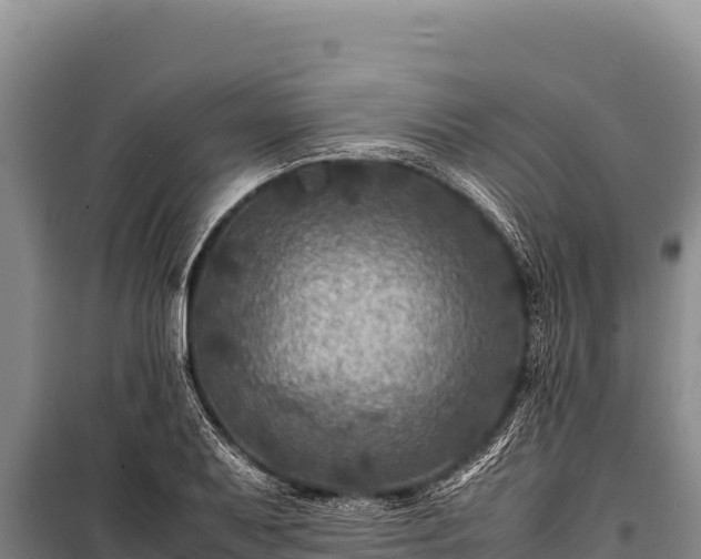 X0000100861079200806271154