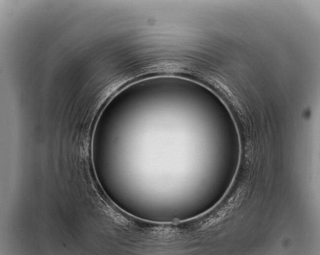 X0000100861081200806271154