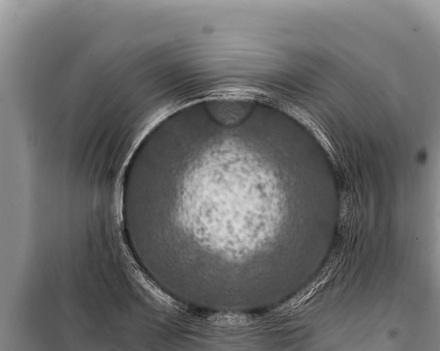 X0000100861083200806271154