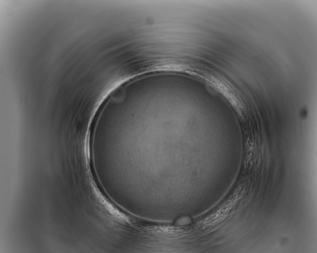 X0000100861084200806271154