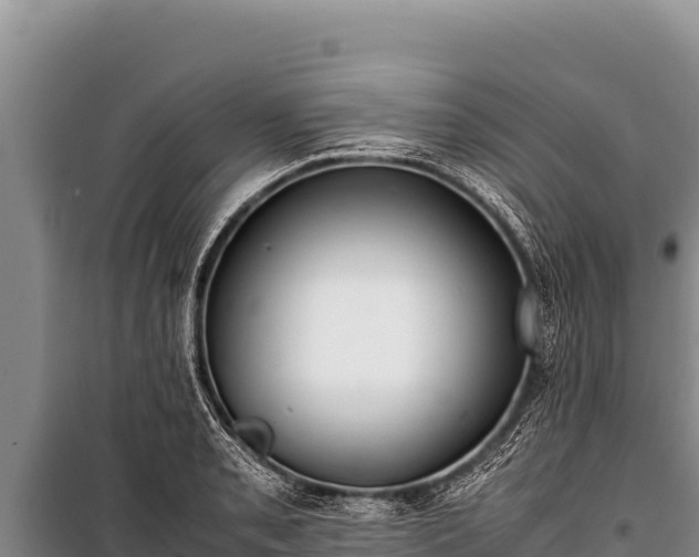 X0000100861085200806271154