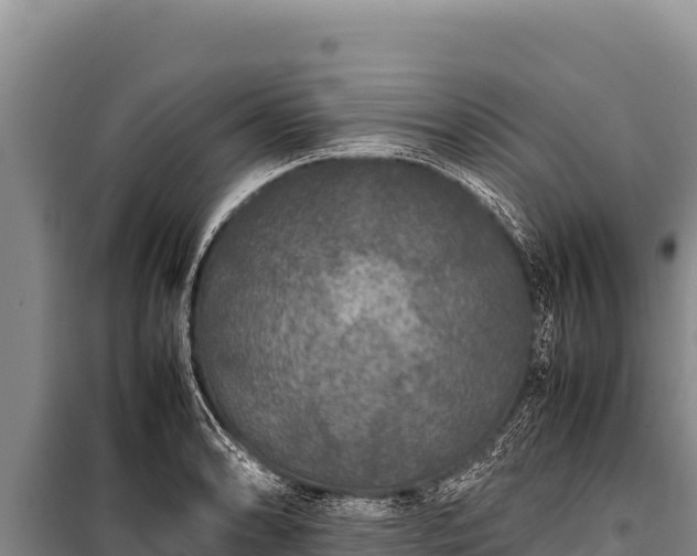 X0000100861086200806271154