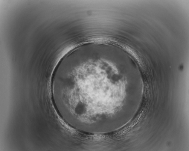 X0000100861087200806271154