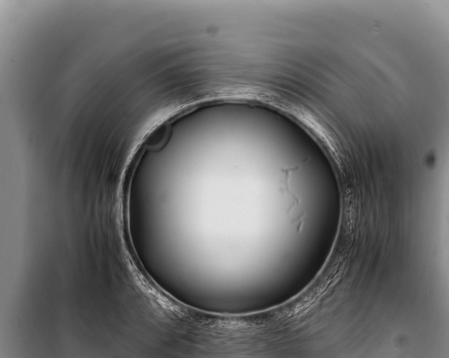 X0000100861088200806271154