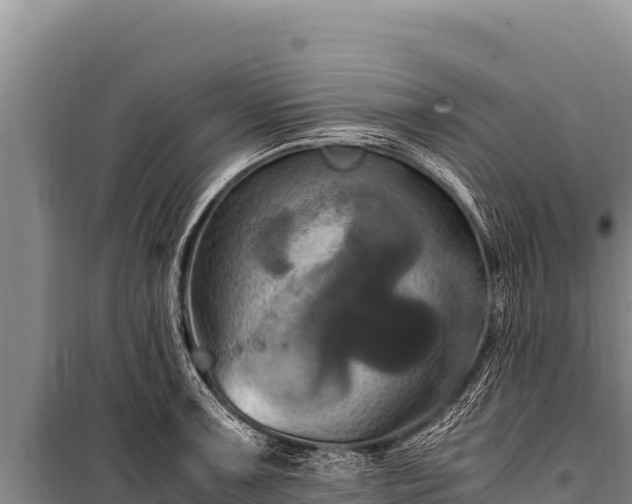 X0000100861091200806271154