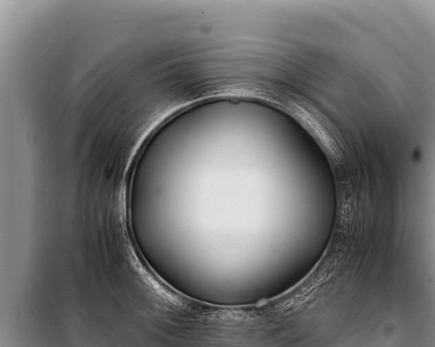 X0000100861092200806271154