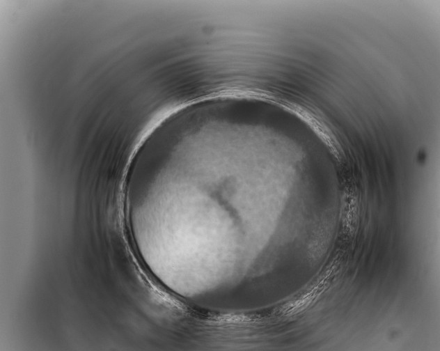 X0000100861094200806271154