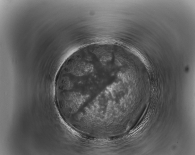 X0000100861095200806271154