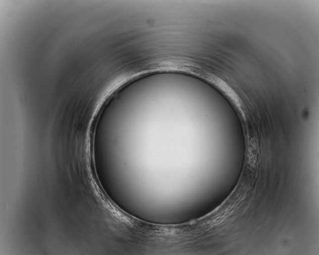 X0000100861096200806271154